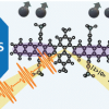 Publication TOC Graphic