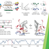 Publication TOC Graphic