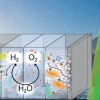 Publication TOC Graphic