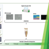 Publication TOC Graphic