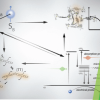 Publication TOC Graphic