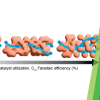 Publication TOC Graphic