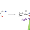 TOC Publication graphic showing two different iron chelation complexes