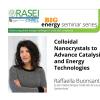 BES banner with Raffaella Buonsanti