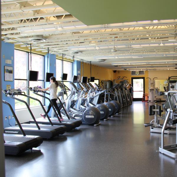 Workout Equipment