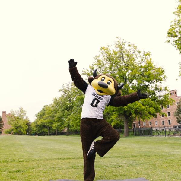 Chip in a yoga pose