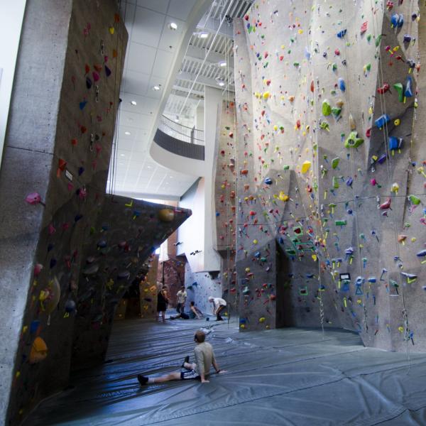 climbing gym wall