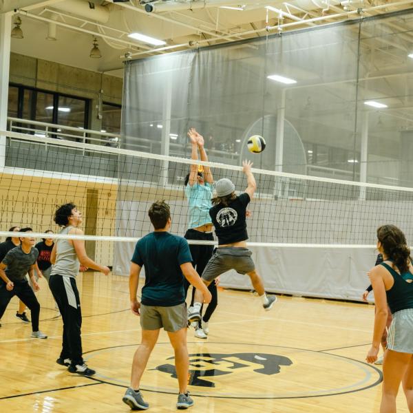volleyball