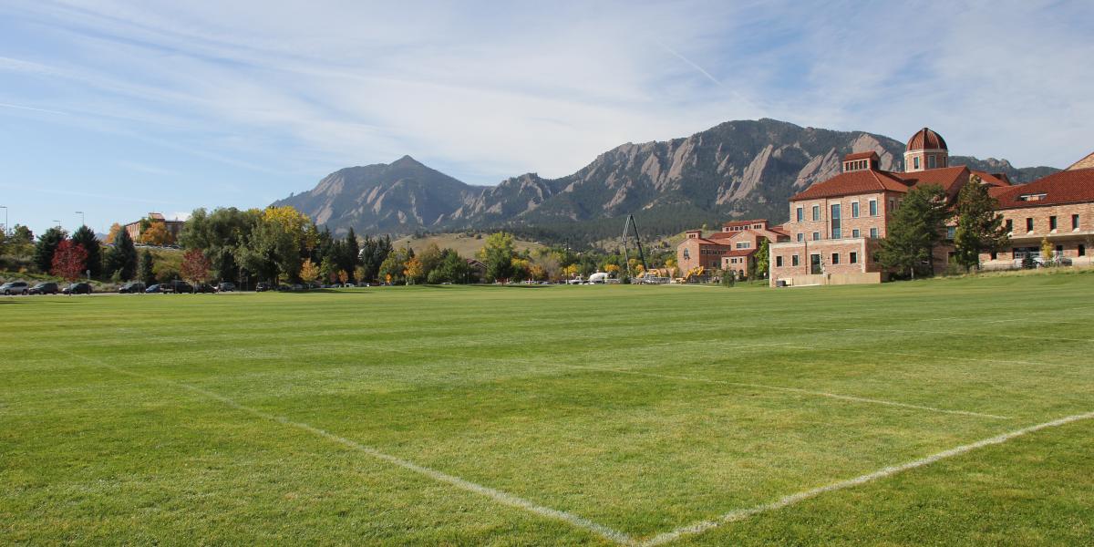 Business Field