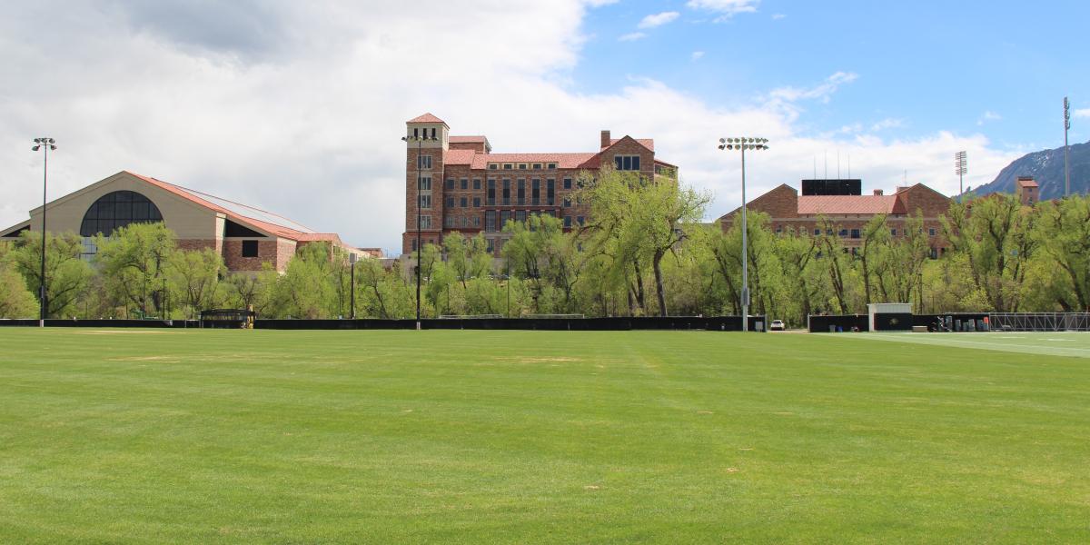 Lower Rec Field