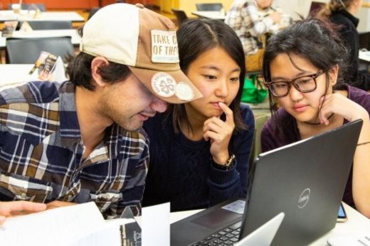 Students studying together