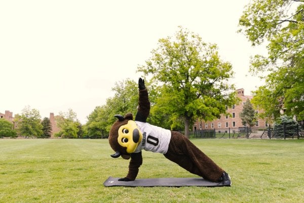 Chip the CU mascot doing a yoga pose