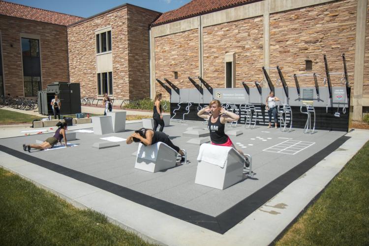 Fitness court