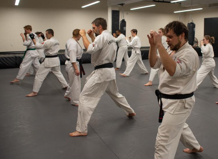 a karate class punching