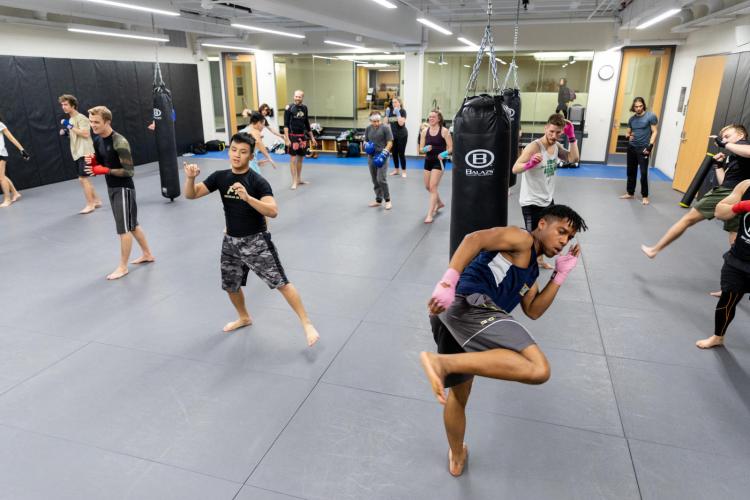 Muay Thai II