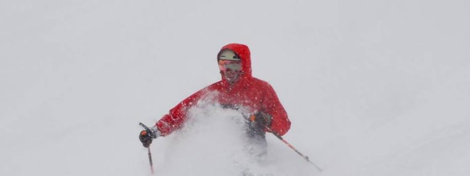 freestyle skier in powder