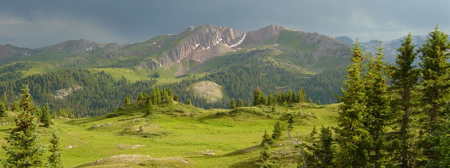 Four Pass view of trees and mountains