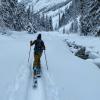 woman on cross country skis moving through a snowy pass