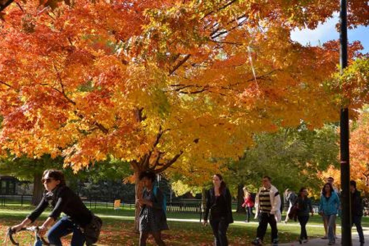 Students walk and bike across campus with fall foliage in the background.