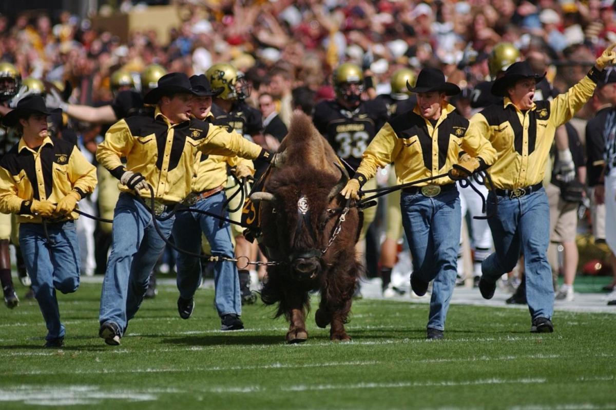 Ralphie and handlers running on the football field