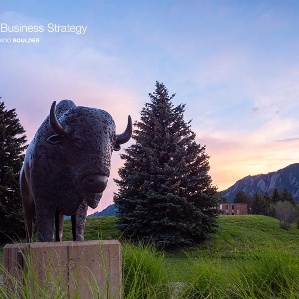 buffalo