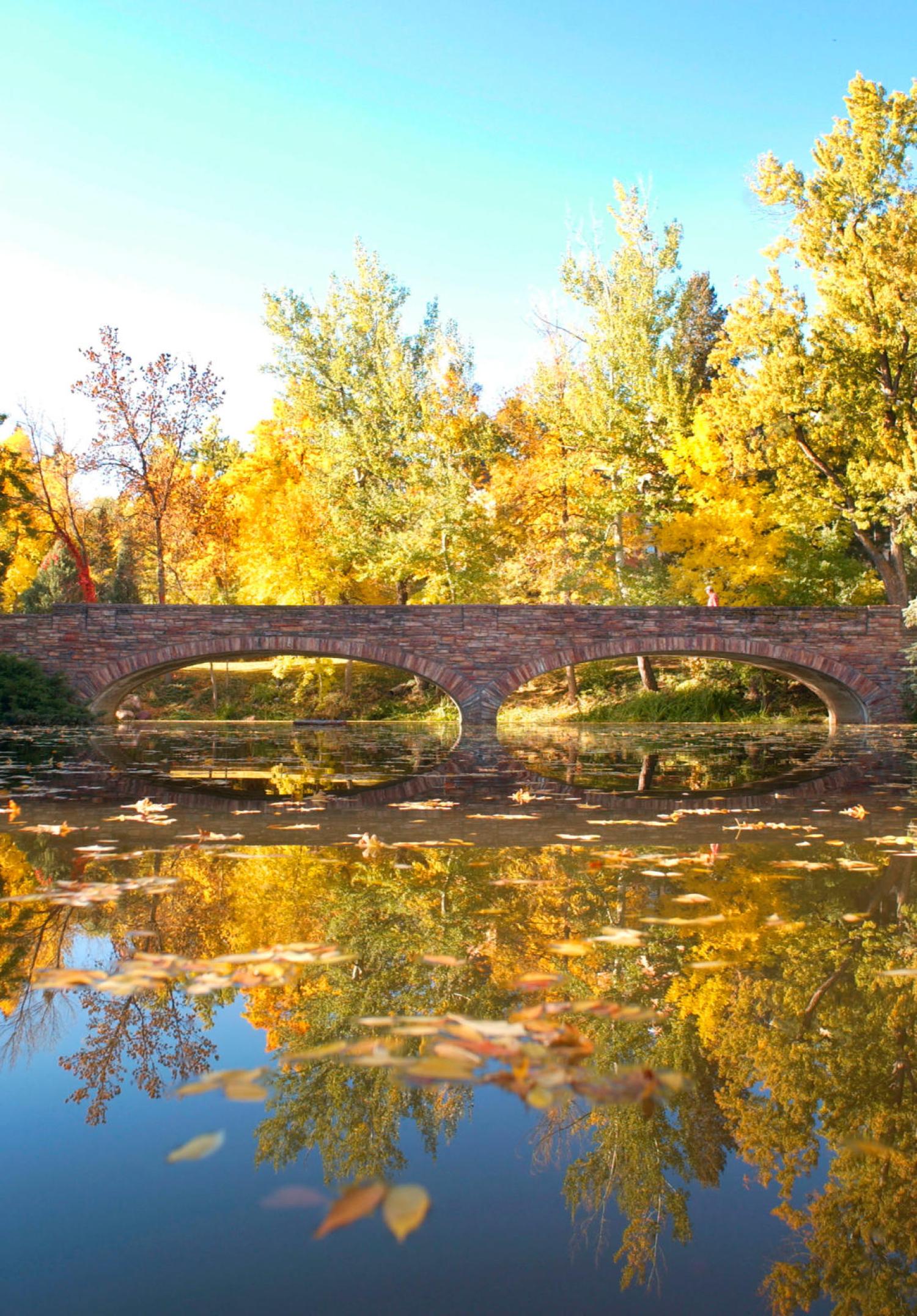bridge and water reflection picture