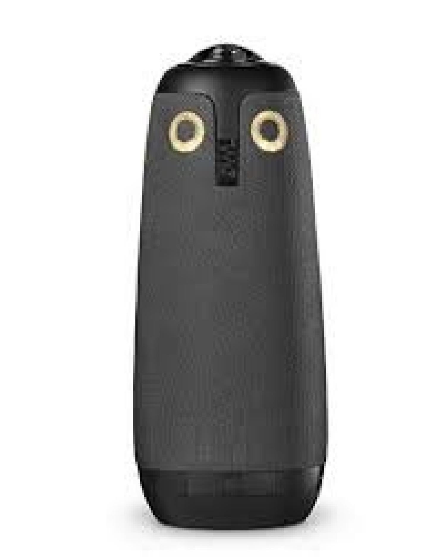 Picture of meeting owl