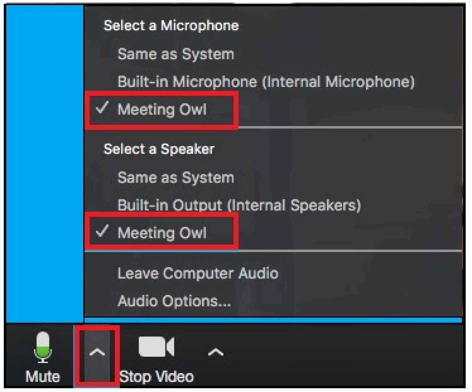 Meeting owl screen shot