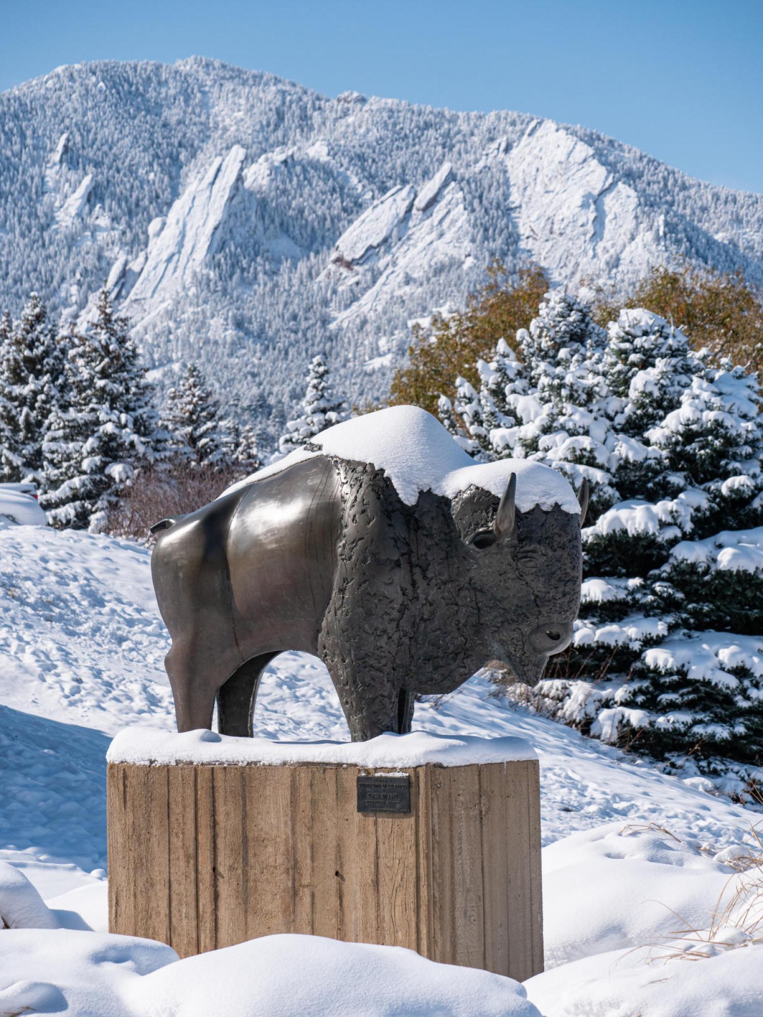 Ralphie statue in snow
