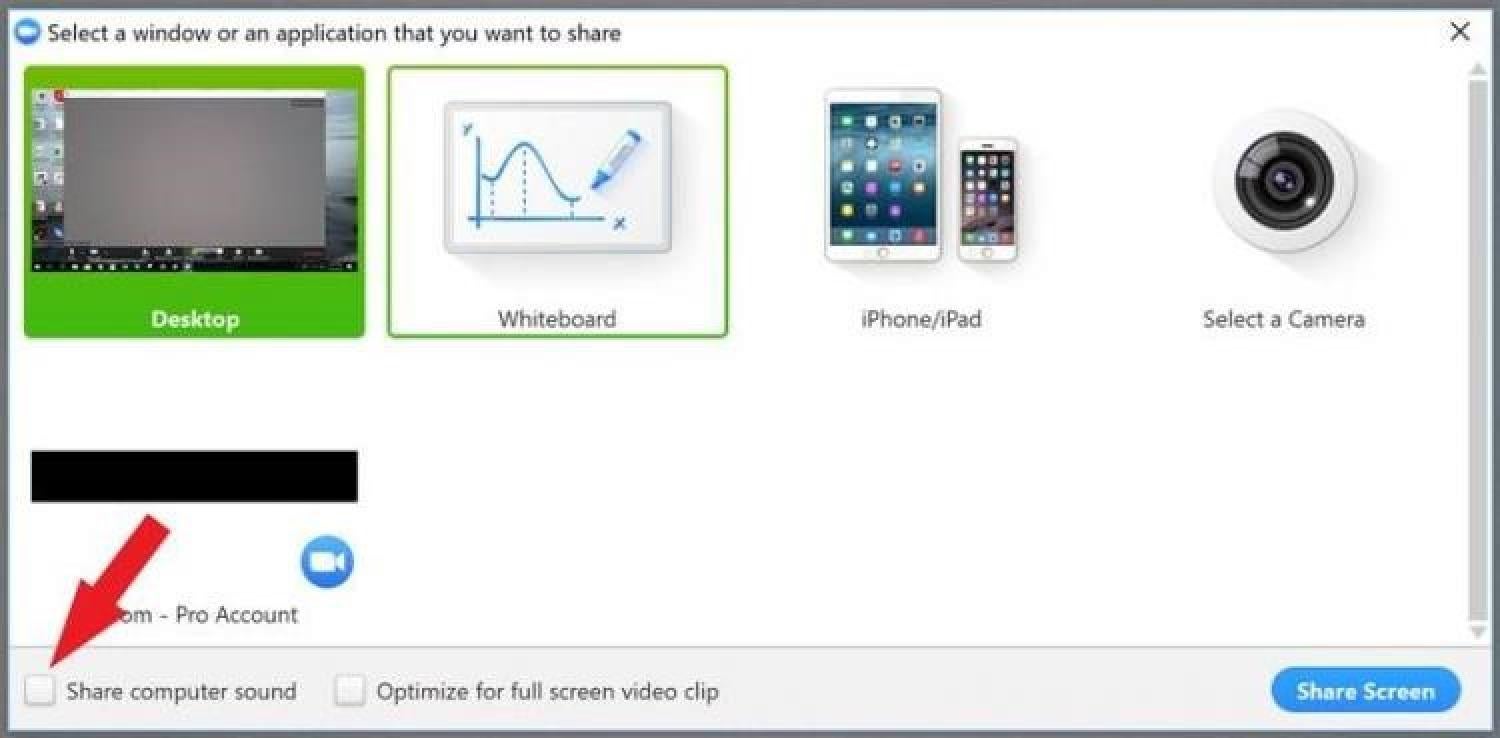zoom screen image 3