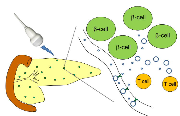 Molecular targeting