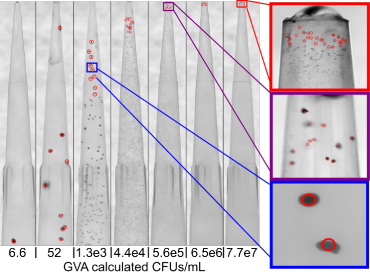 Developing a high-throughput and accelerated antibiotic susceptibility testing method
