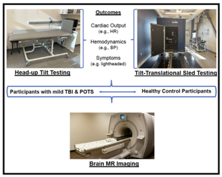 Postural orthostatic tachycardia syndrome in persons with mild traumatic brain injury: vestibular-mediated mechanisms and brain biomarkers