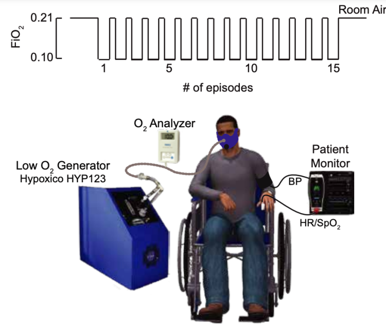 Intermittent hypoxia illustration