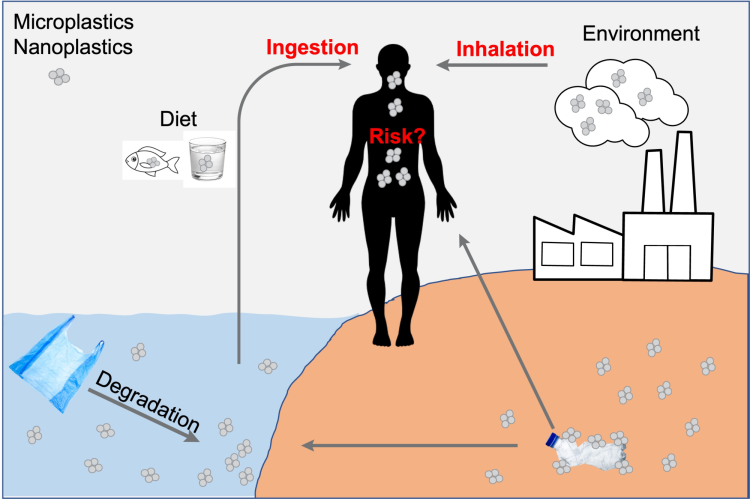 Evaluation of the composition and health risks of environmental micro- and nano-plastics