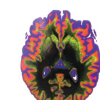 CU research team moves one step closer to printing models of life-like 3D organs
