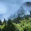 From crisis to action: CU’s climate health champions in focus