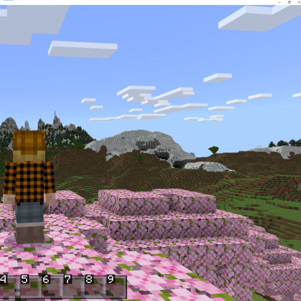 Minecraft Games Unit