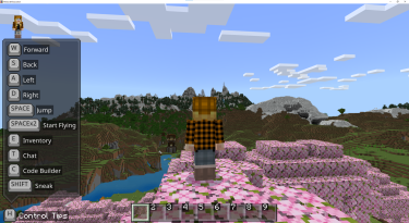 Minecraft Games Unit