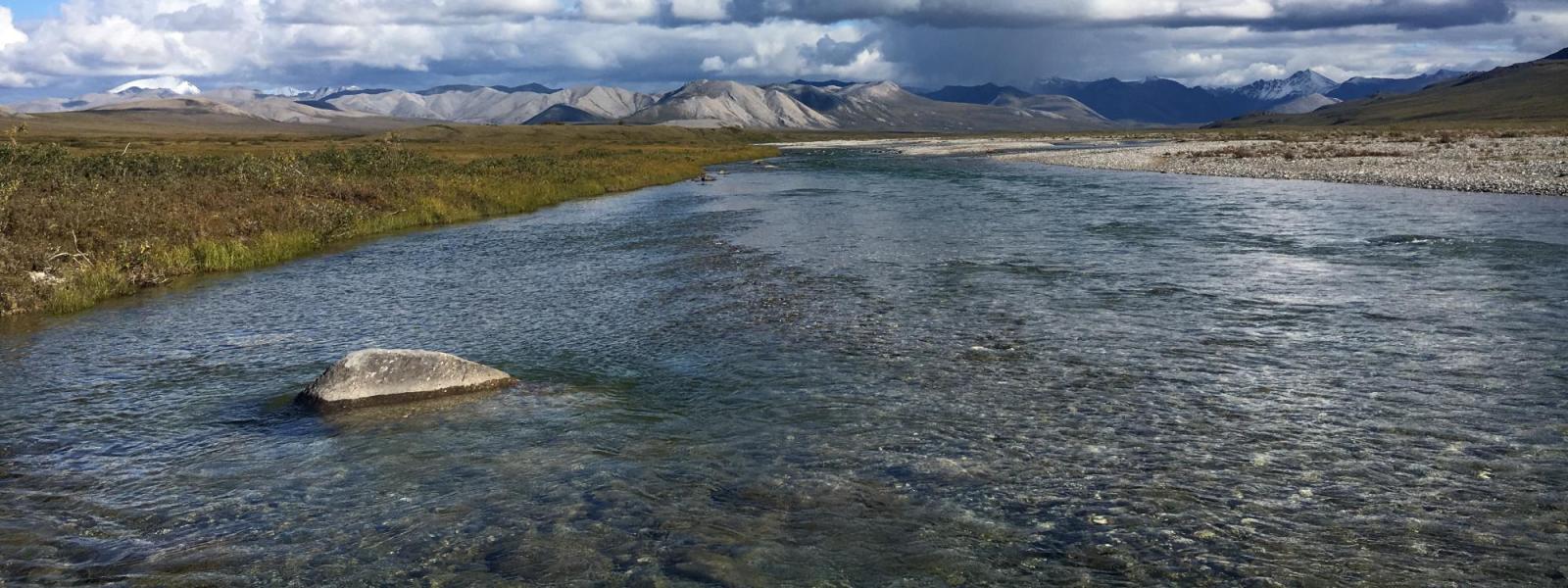 Arctic Rivers 2