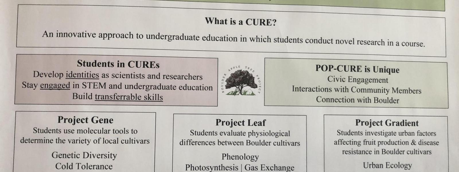 what is a cure? (poster)