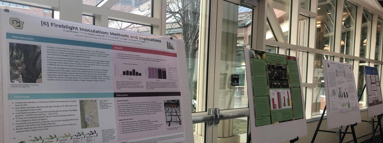 students posters