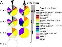 Diagrams on the experiment