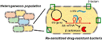 Some cell/molecule diagram in detail