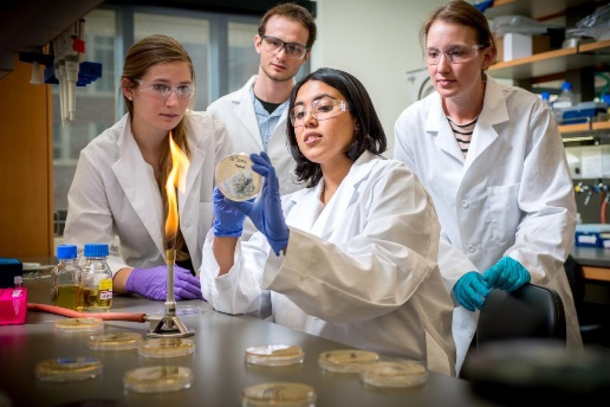 Teaching in the lab