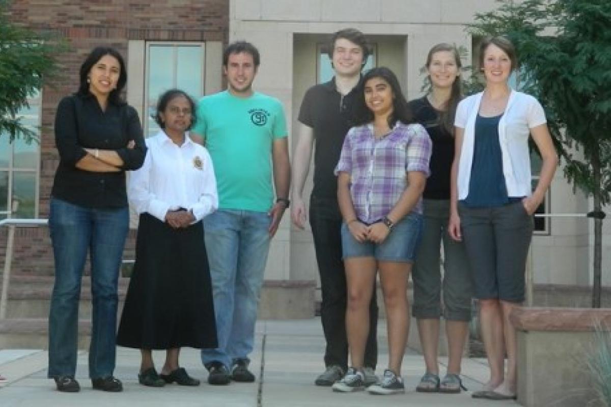 2013 Summer: Lab picture