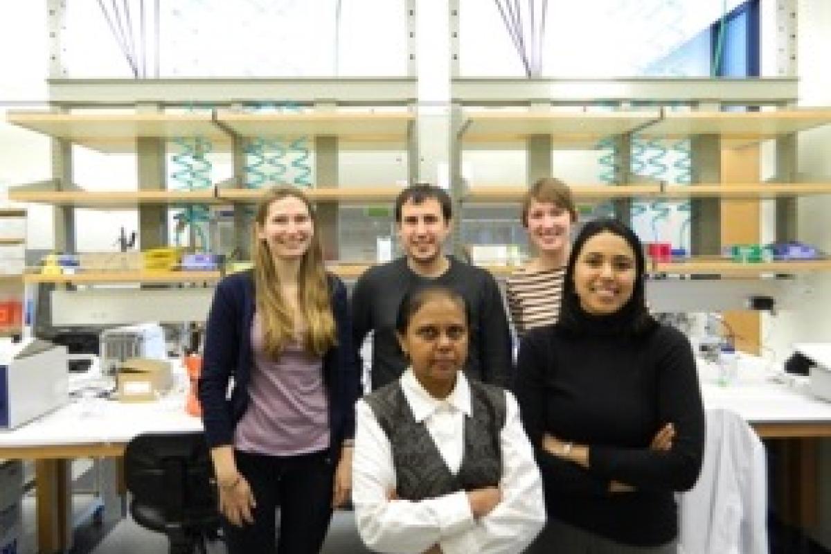 Spring 2013 lab photo