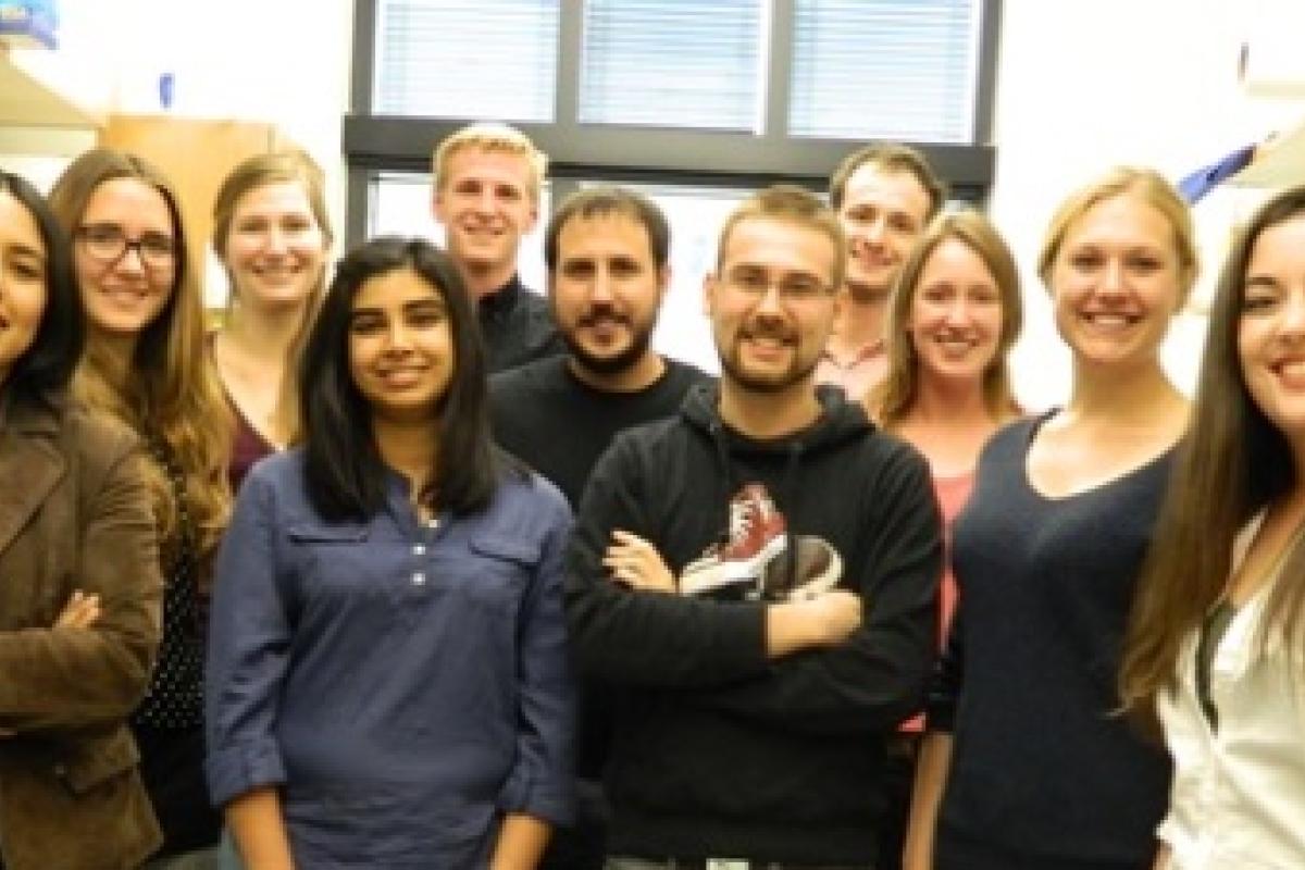 Spring 2015 lab picture