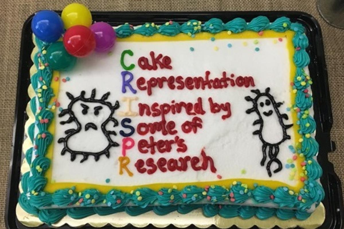 CRISPR cake. It says Cake Representation Inspired by Some of Peter's Research