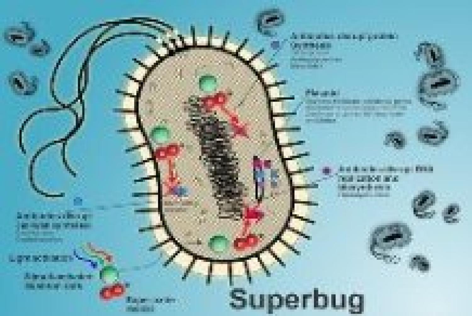 Superbug